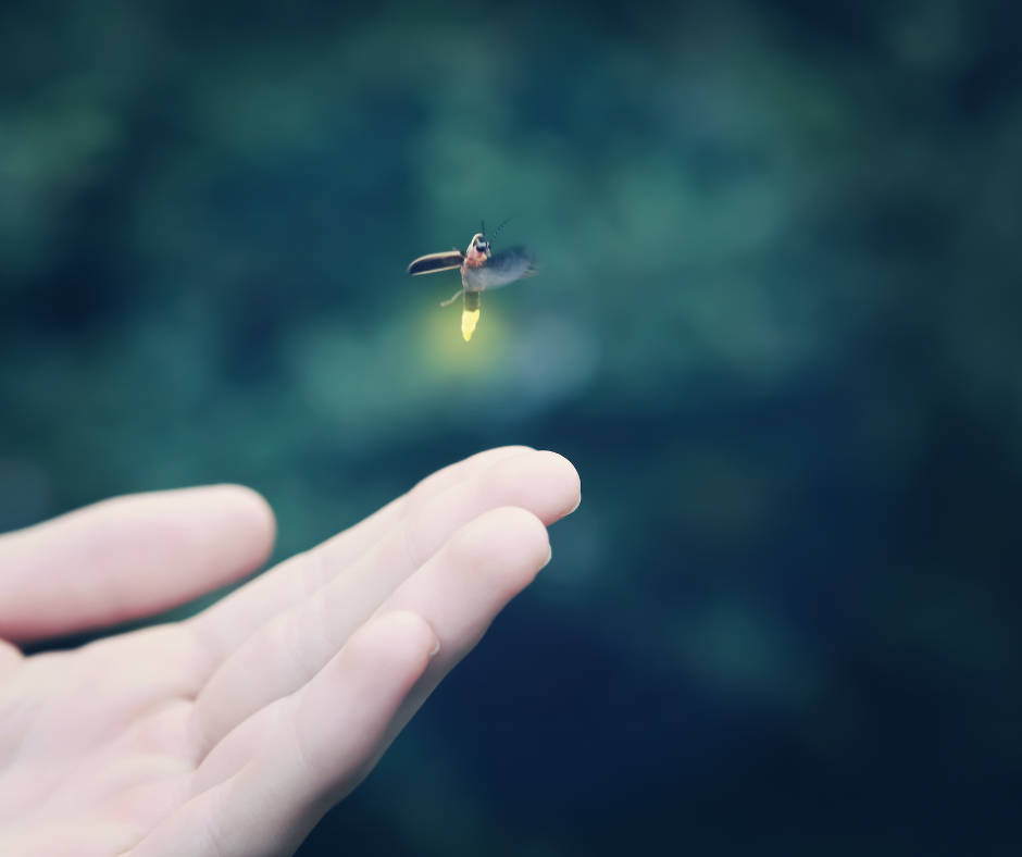 Fireflies